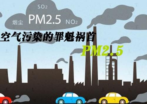 尾气净化器 尾气净化器