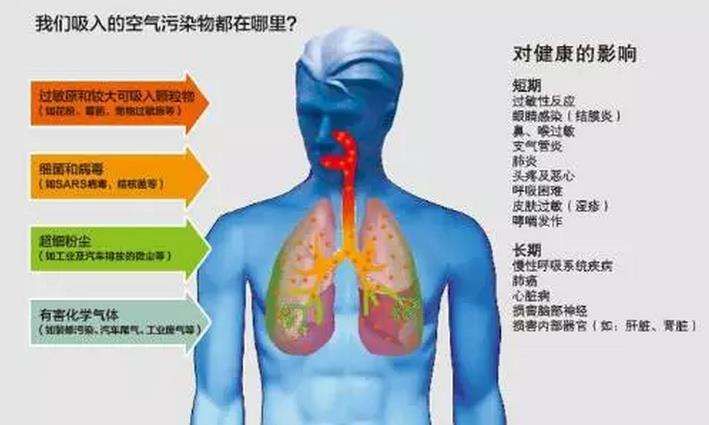 黑烟净化器 黑烟净化器