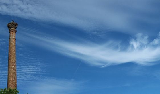 尾气净化器 尾气净化器